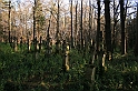 Rostoczek 11.2008 395